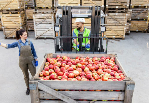 Exportation Aérien Des Légumes Et Fruits